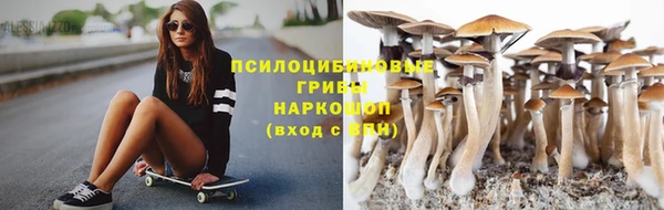 героин Анива