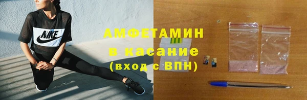 индика Анжеро-Судженск