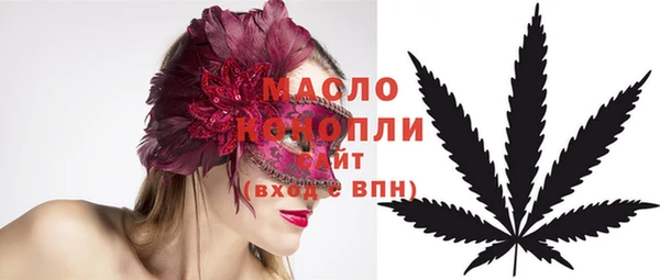 индика Анжеро-Судженск