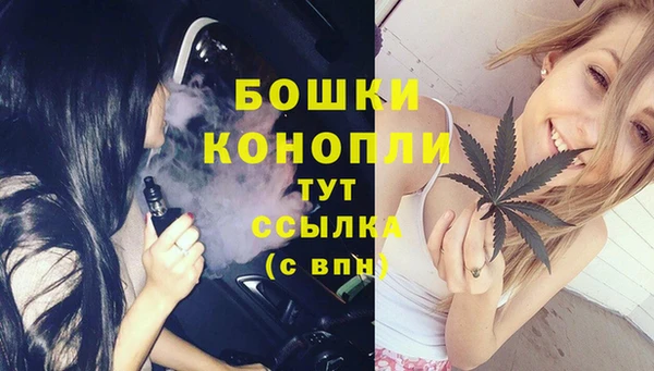 соль ск Медногорск