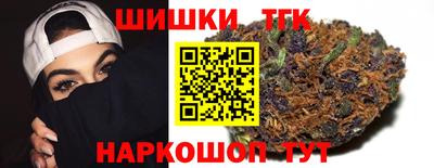 индика Ирбит