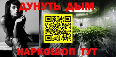 индика Ирбит