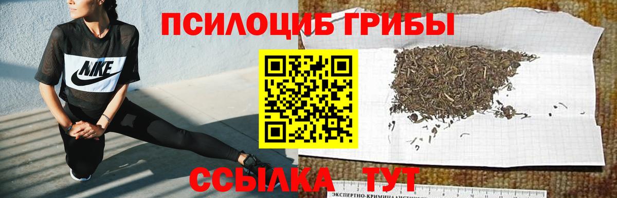 Псилоцибиновые грибы MAGIC MUSHROOMS Первоуральск
